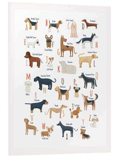 Foam board print Dog Breed Alphabet