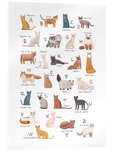 Akrylbillede Cats Alphabet For Cat Lovers