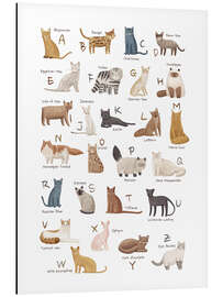 Aluminium print Cats Alphabet For Cat Lovers - Marta Munte