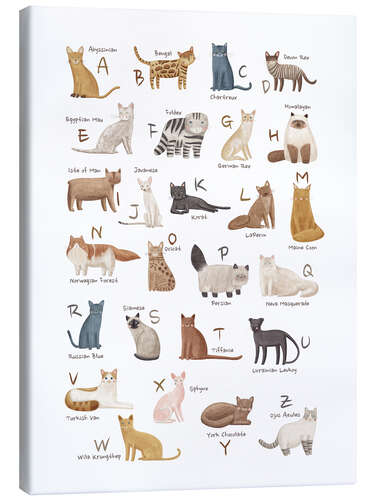 Obraz na płótnie Cats Alphabet For Cat Lovers