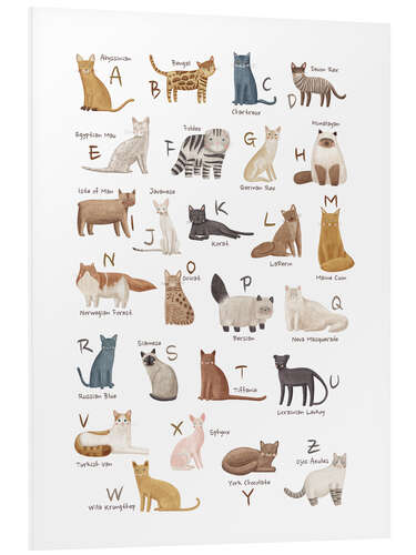 Foam board print Cats Alphabet For Cat Lovers