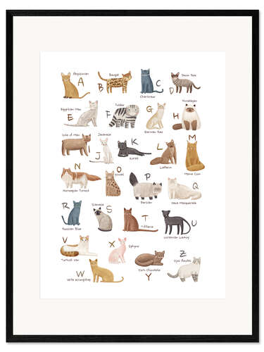 Framed art print Cats Alphabet For Cat Lovers