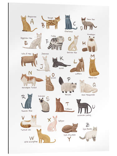 Gallery print Cats Alphabet For Cat Lovers