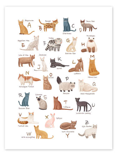 Poster Cats Alphabet For Cat Lovers