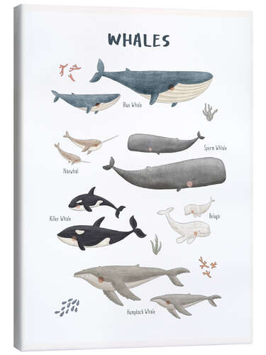 Tableau sur toile Whale species