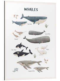 Magnettafel Walarten