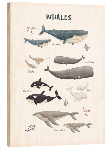 Cuadro de madera Whale species