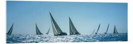 Acrylic print Sailboats racing in the sea, Key West Race Week, Florida, 2000