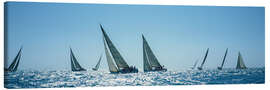 Lærredsbillede Sailboats racing in the sea, Key West Race Week, Florida, 2000