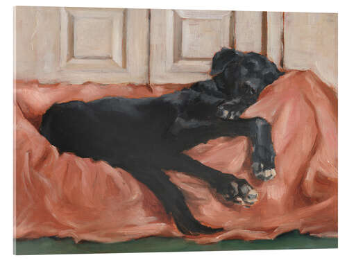 Acrylic print Dog's Sleep