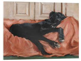 Acrylic print Dog's Sleep - Ethan Harper