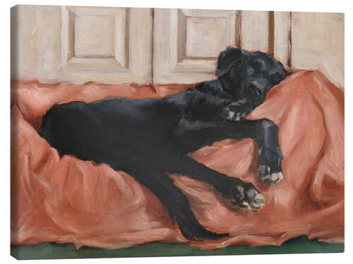 Canvas print Dog's Sleep