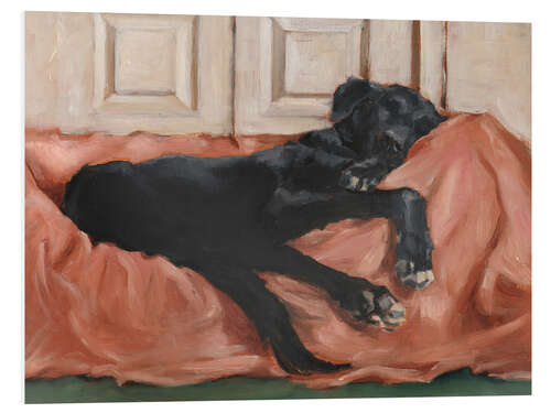 PVC-tavla Dog's Sleep