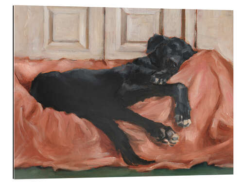 Gallery print Dog's Sleep