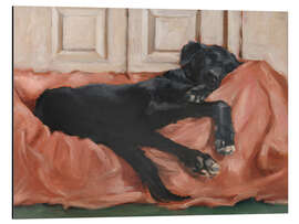 Magnettafel Schlafender Hund