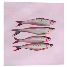 Acrylic print Neon Sardines