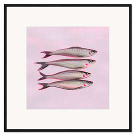 Stampa artistica con cornice Neon Sardines