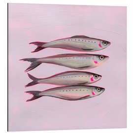 Magnettafel Neon-Sardinen