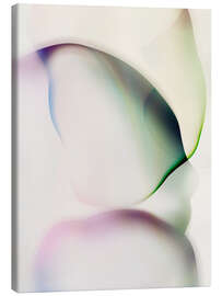 Lienzo Gossamer Veils I - Victoria Barnes