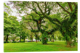 Acrylic print Esplanade Park in Singapur - HADYPHOTO