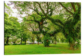 Aluminium print Esplanade Park in Singapur - HADYPHOTO