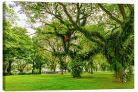 Canvas print Esplanade Park in Singapur - HADYPHOTO