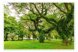 Poster Esplanade Park in Singapur - HADYPHOTO