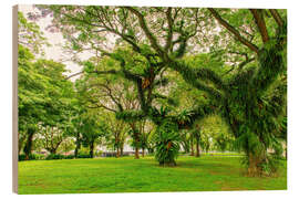 Wood print Esplanade Park in Singapur - HADYPHOTO