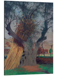 Stampa su alluminio The Old Olive Tree, 1922