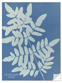 Wandsticker Osmunda regalis
