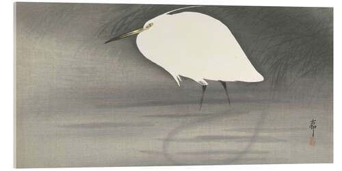 Acrylglasbild Reiher