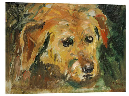 Acrylic print Dog's Face, 1927