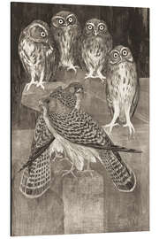 Aluminium print Four little owls and two kestrels - Theo van Hoytema