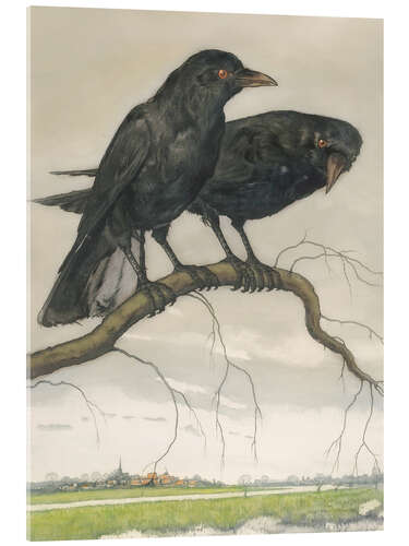 Acrylic print Two Crows