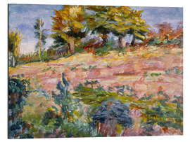 Aluminium print Landscape