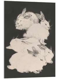 Acrylglasbild Angorakaninchen