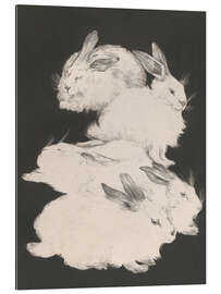 Gallery Print Angorakaninchen