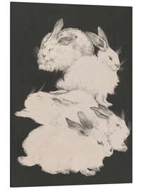 Magnettafel Angorakaninchen