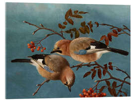 Acrylic print Jays, 1877
