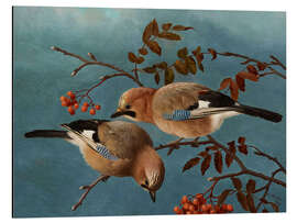 Aluminium print Jays, 1877