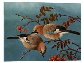 PVC-tavla Jays, 1877
