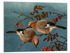 Galleritryck Jays, 1877