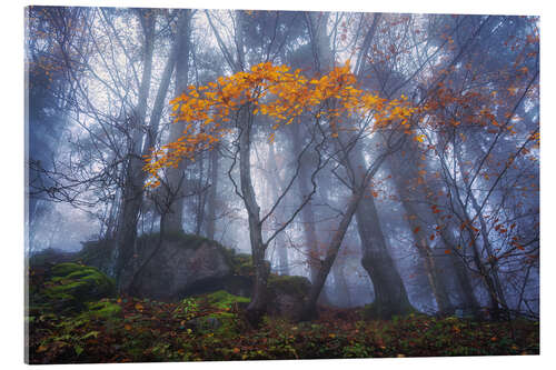Acrylic print Orange autumn in Slovenia