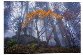 Acrylic print Orange autumn in Slovenia - Martin Podt