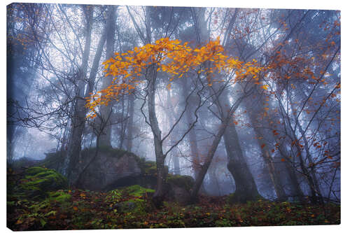 Canvas print Orange autumn in Slovenia
