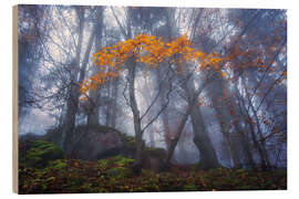 Wood print Orange autumn in Slovenia - Martin Podt