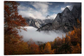 Tableau en verre acrylique Autumn in the Triglav National Park, Slovenia - Martin Podt