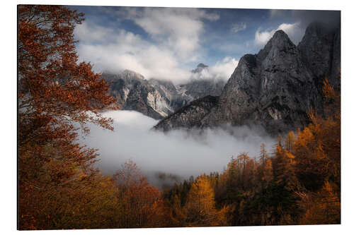 Aluminium print Autumn in the Triglav National Park, Slovenia