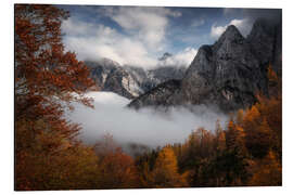 Aluminium print Autumn in the Triglav National Park, Slovenia - Martin Podt