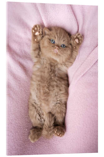 Acrylic print Relax